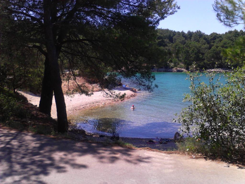 And Dobrila *