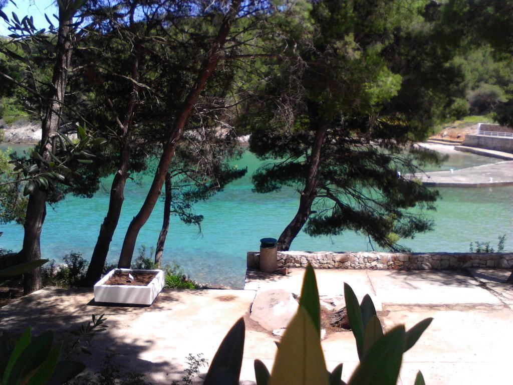 Apartment And Dobrila Jelsa (Hvar)
